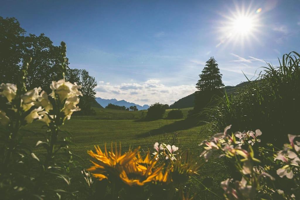 Fritzis Alpenidyll „Sommertraum & Winterromantik” Замерберг Екстер'єр фото